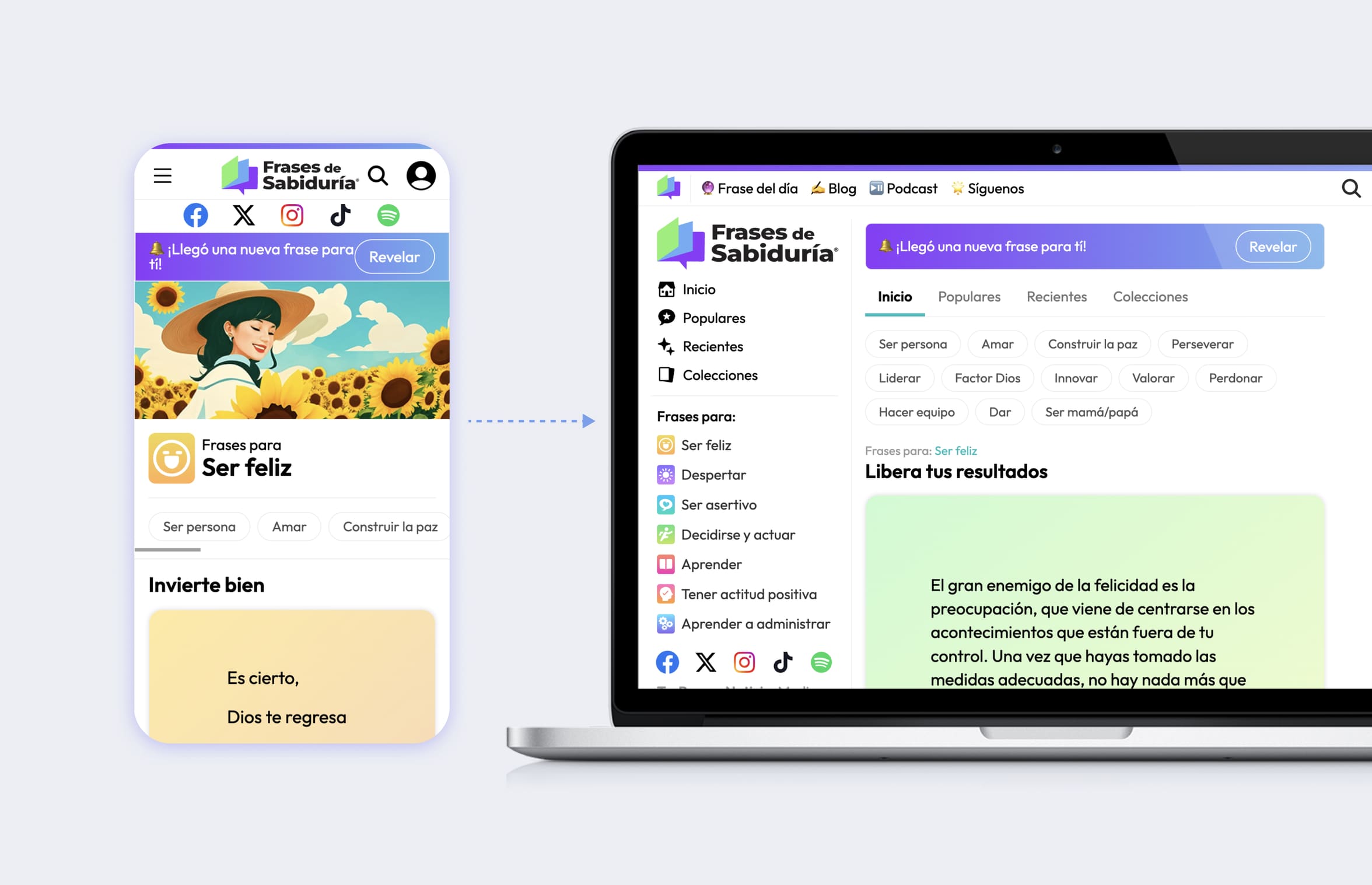 Category browsing and search